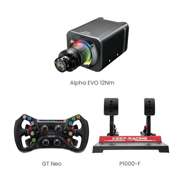 Alpha_EVO_GT_Neo_P1000-F-11-