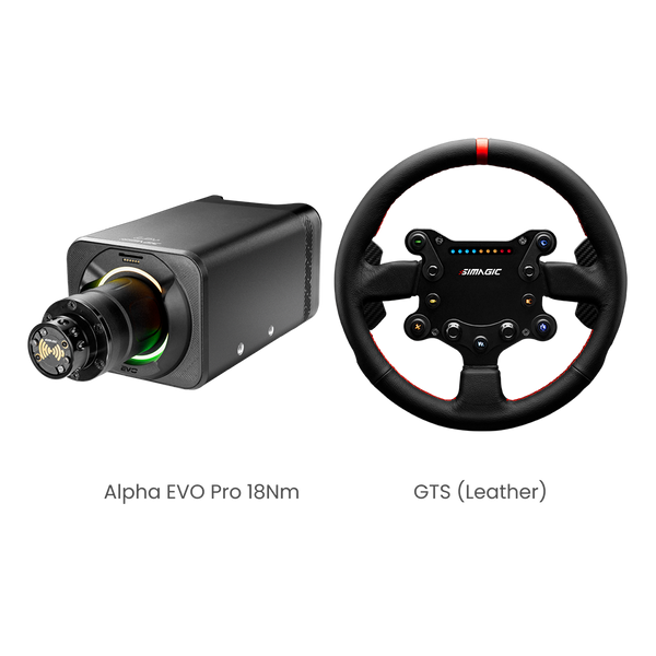 Alpha_EVO_Pro_GTS_Leather_-11-